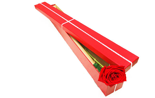 Single Stem Rose In a Box | flowerandballooncompany.com